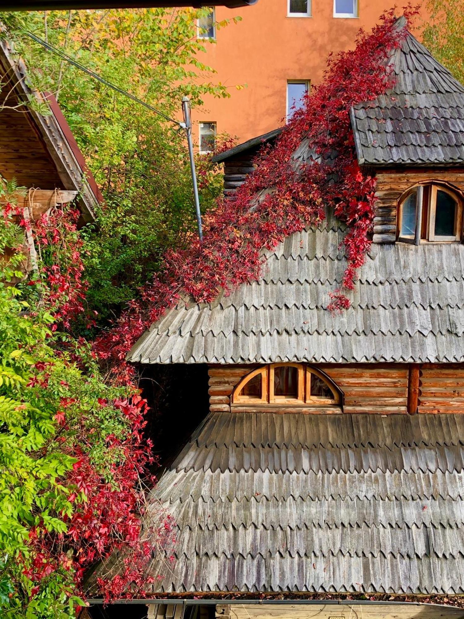 Villa Casa Ieud - Catun Sinaia Esterno foto
