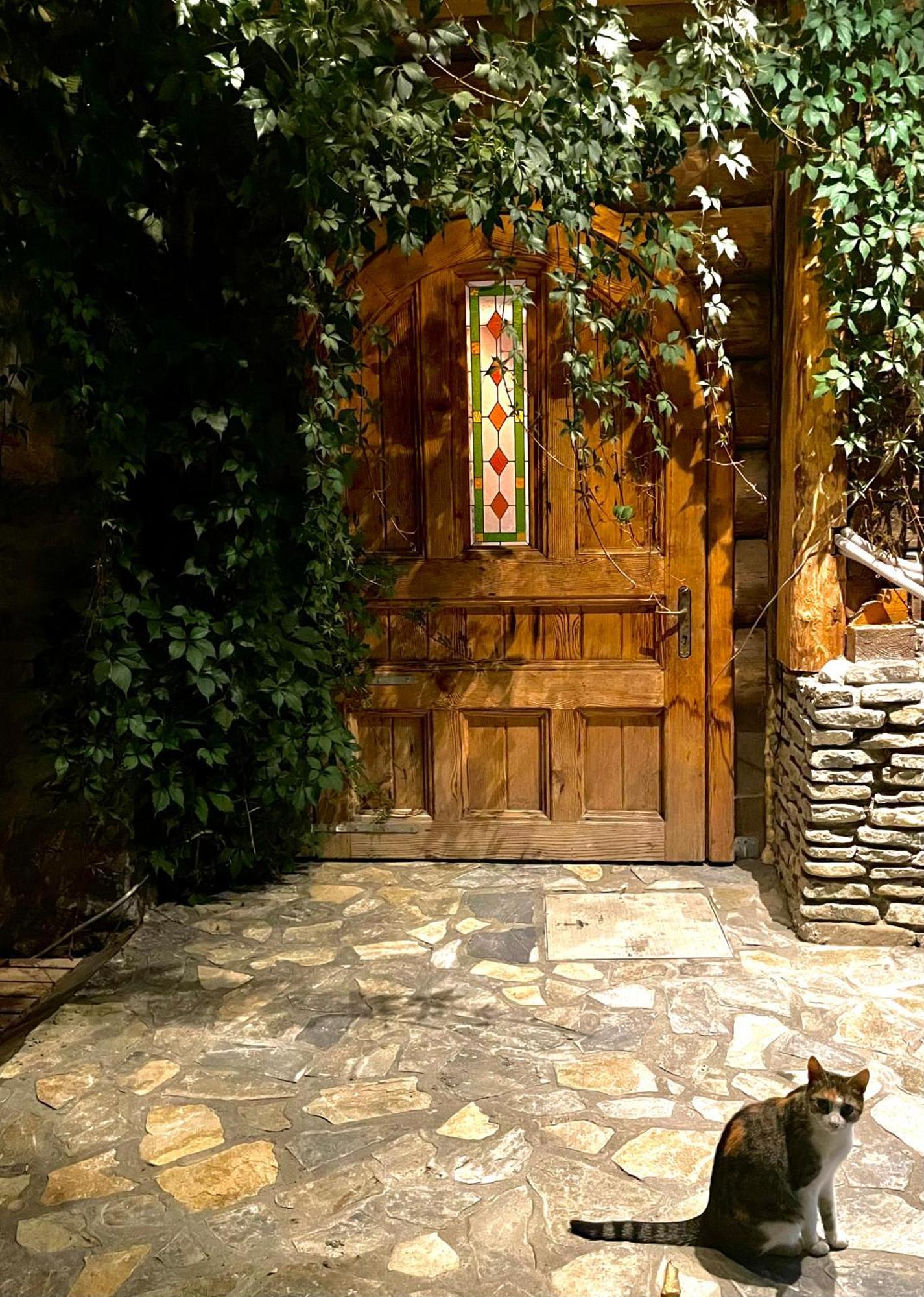 Villa Casa Ieud - Catun Sinaia Esterno foto